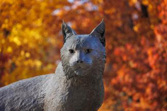 Bowman statue in fall